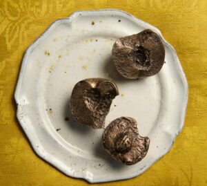 cmbyn_peach paperweights